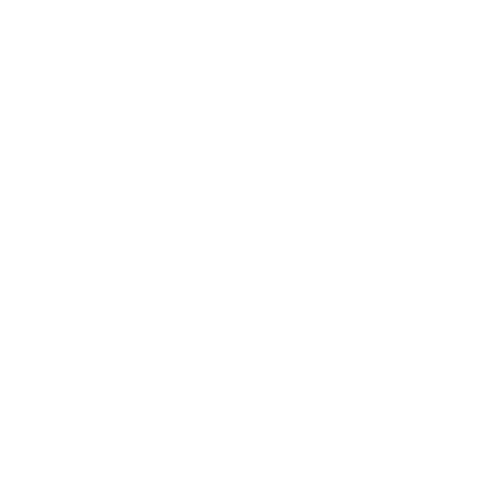 Altra Running - Partner des Mountaincamp Trailrunning Camps