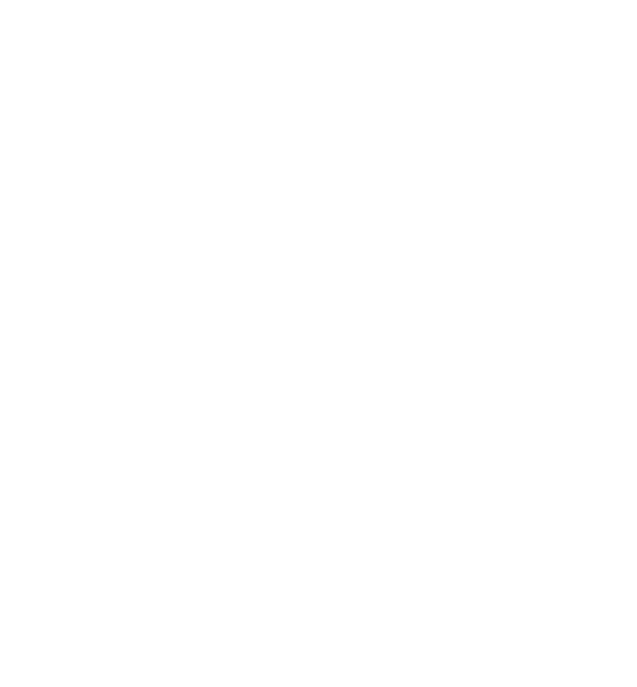 Incylence - Partner des Mountaincamp Trailrunning Camps