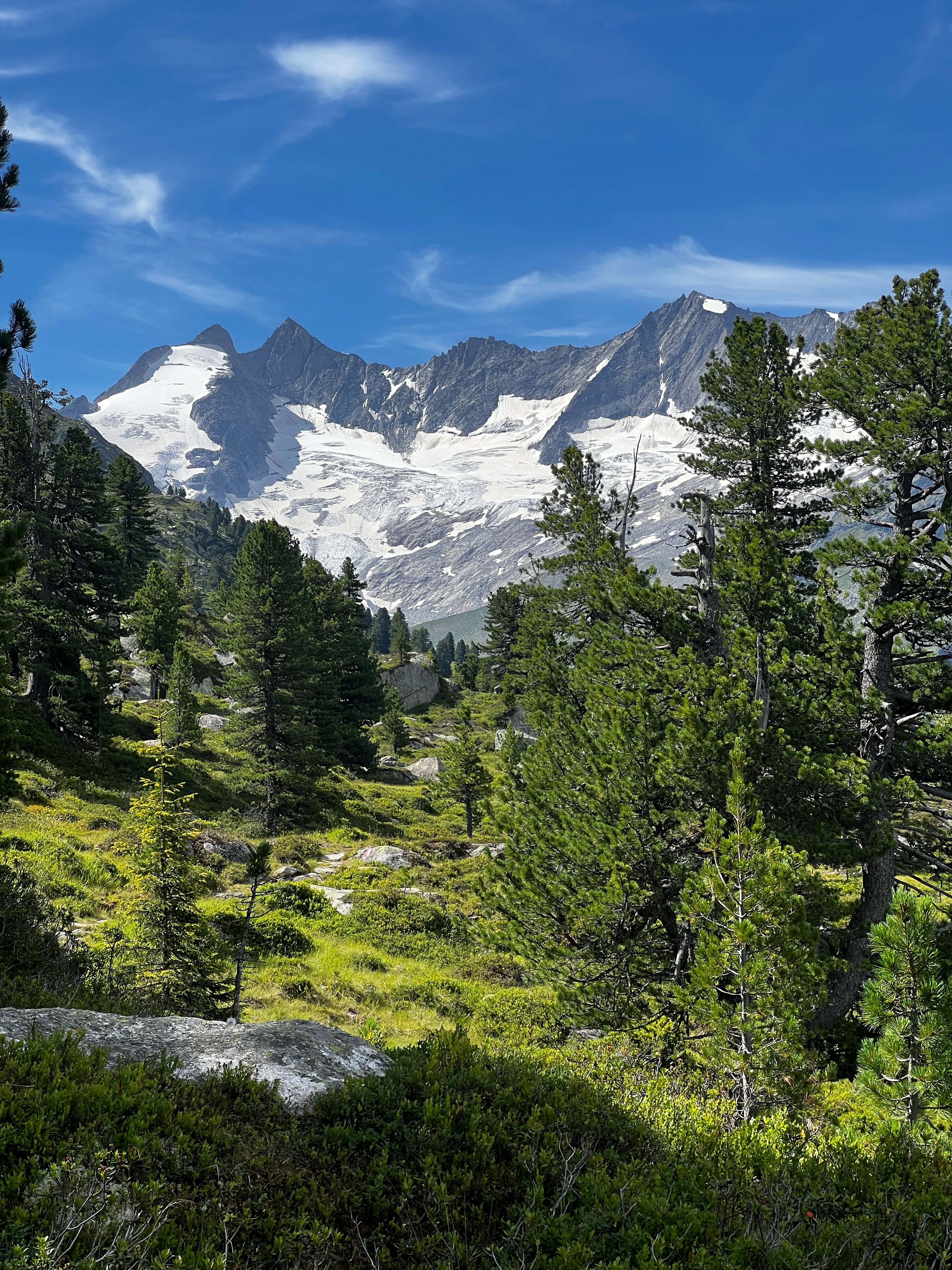 Mountain landscape